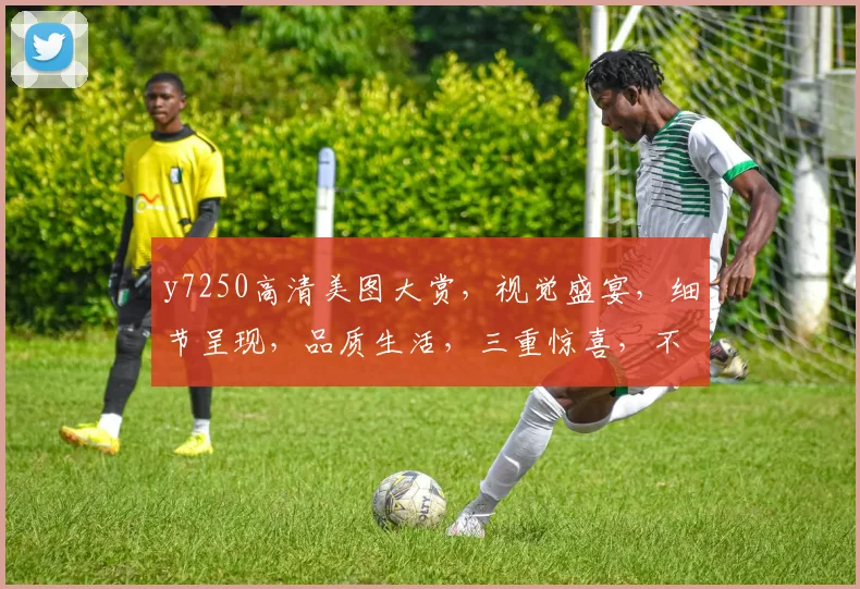 y7250高清美图大赏，视觉盛宴，细节呈现，品质生活，三重惊喜，不容错过